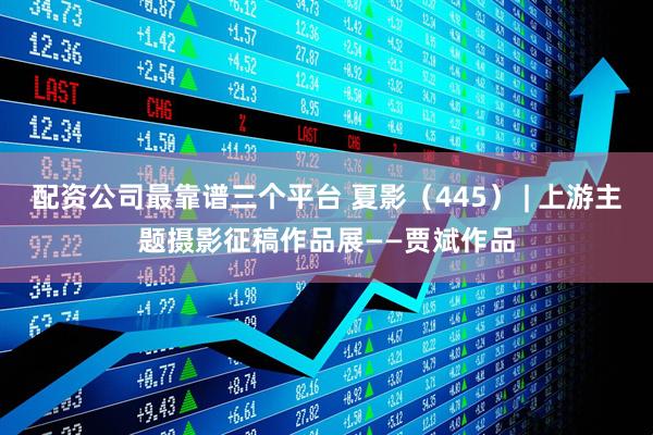配资公司最靠谱三个平台 夏影（445） | 上游主题摄影征稿作品展——贾斌作品