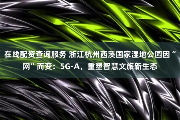 在线配资查询服务 浙江杭州西溪国家湿地公园因“网”而变：5G-A，重塑智慧文旅新生态