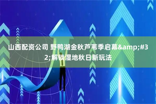山西配资公司 野鸭湖金秋芦苇季启幕 解锁湿地秋日新玩法
